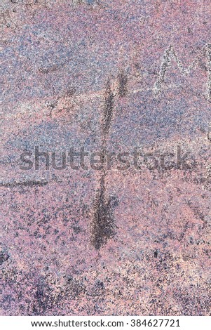 Ancient petroglyphs (rock engravings of 4th-2nd millennia BC) carved on granite Onega Lake shore. Besov Nos cape, Karelia Republic, Russia.
