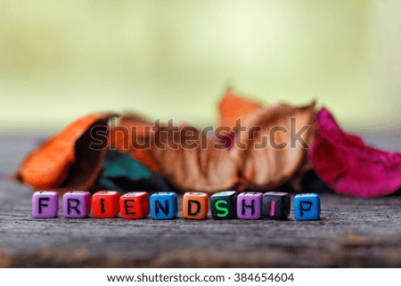 Word Friendship on colourful dices with colourful dried leaves behind dices.