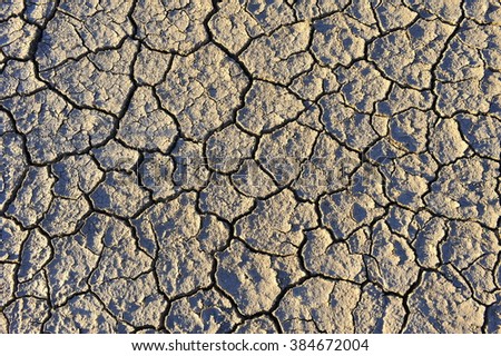 Dry soil cracking 
