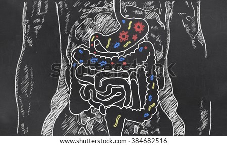 Intestines with Gut Bacteria on Blackboard Royalty-Free Stock Photo #384682516