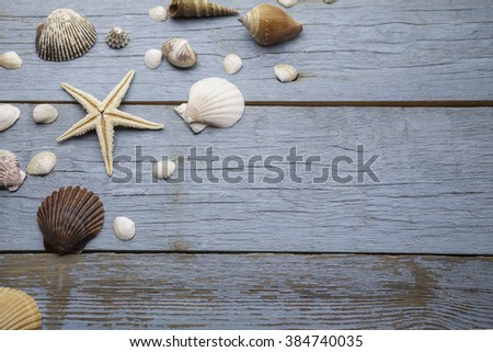 seashells frame on wooden blue background