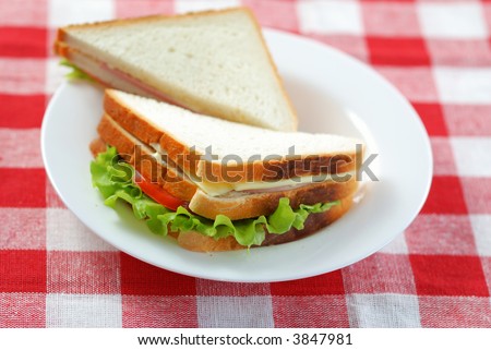 Two sandwiches on a plate, shallow depth of field
