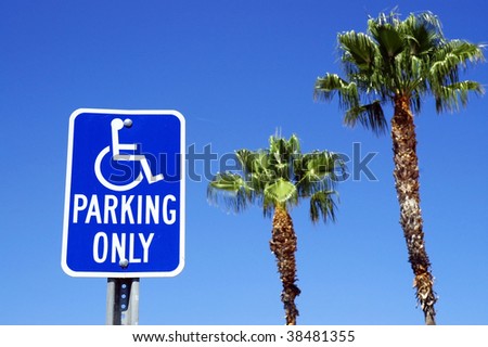 handicap parking sign with blue sky and two palms in background