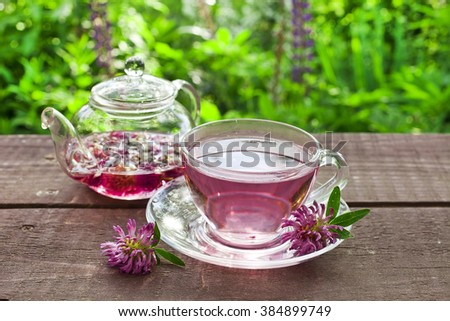 Clover flower tea in the glass teapot and the glass cups 