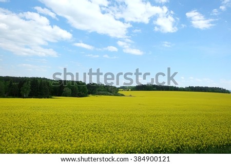 Lush green scenery in Czechoslovakia
