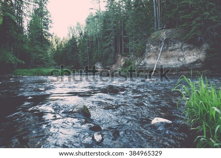Summer river with reflections in Gauja National Park in Latvia - vintage effect