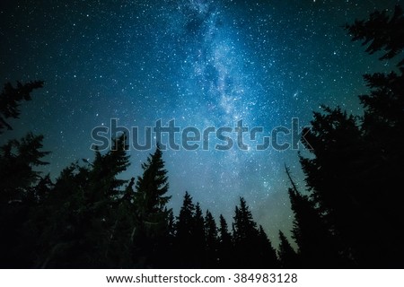The Milky Way rises over the pine trees on a foreground Royalty-Free Stock Photo #384983128