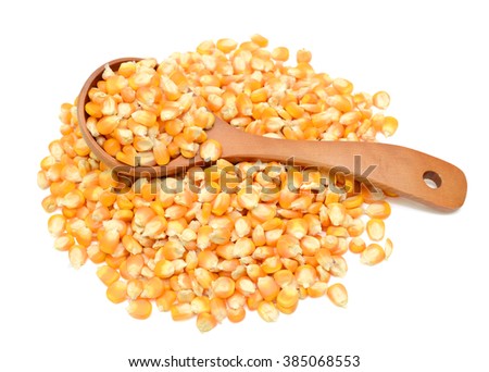 yellow Corn grain isolated on white background
