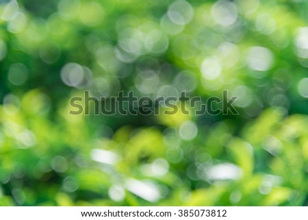 Fresh healthy green bio and eco nature theme with abstract blurred foliage and bright sunlight. Sunny bokeh green nature defocused background. Selective soft focus with shallow DOF. Element of design