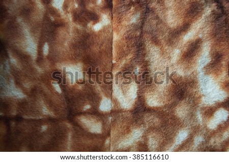 brown short  fur texture