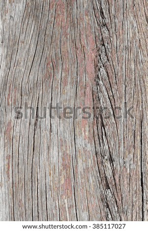 Close up wood texture - background