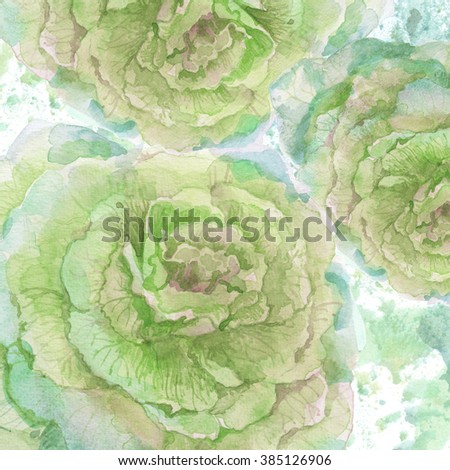 Watercolor beautiful flower. Ornamental cabbage.