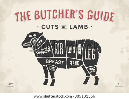 Cut of beef set. Poster Butcher diagram and scheme - Lamb. Vintage typographic hand-drawn. Vector illustration Royalty-Free Stock Photo #385131556