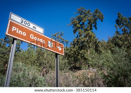 Road sign to famous oldest pine tree at Tenerife, Canary Islands