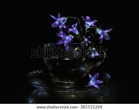 Bluebell flowers in transparent glass cup on saucer against black background. This picture done in light painting technique, composed from ~70 individual photos of same scene with different lighting.