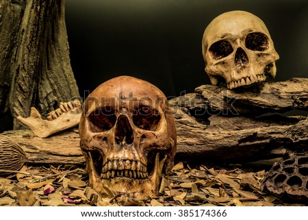 still life painting photography with couple human skull on dried leaves art abstract background, love concept, grunge, vintage and dark tone for horror halloween