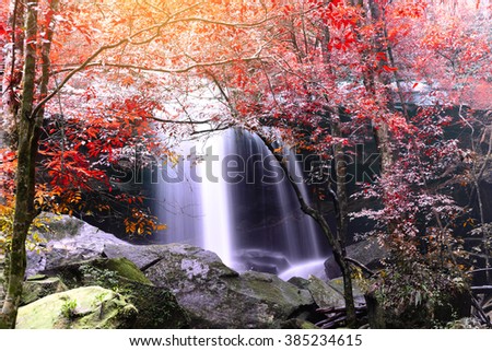 Beautiful autumn waterfall in rainforest.