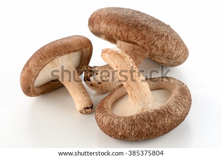 shitake mushroom Royalty-Free Stock Photo #385375804
