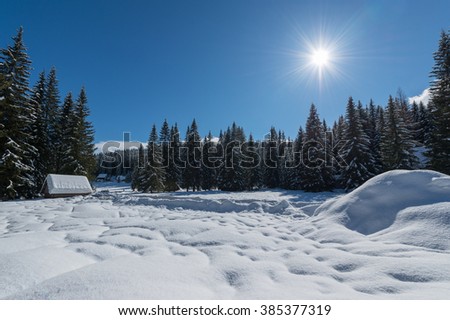 Cottages in the winter forest under the mountains. Beautiful scenery at Pokljuka plateau in Slovenia.