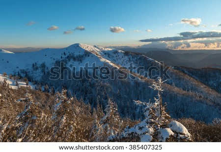 Winter landscape with forest and mountains.