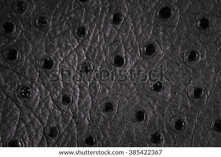 Ostrich skin abstract background.