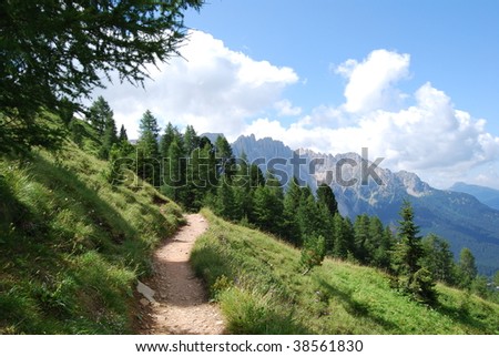 Alpine path