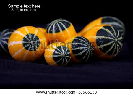 color-full little pumpkins