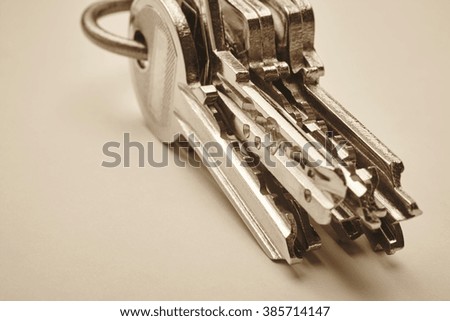Keyring with keys in sepia tone over an empty background. Horizontal