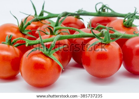 Close up of Tomatoes on the Vine