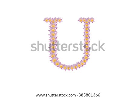 English alphabet made of lotus,a-z