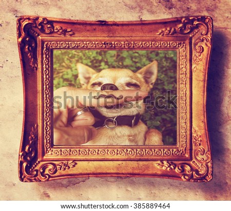  a cute chihuahua with a mustache finger in front of him done with a retro vintage instagram filter (from the mustache series) in an antique gold picture frame 