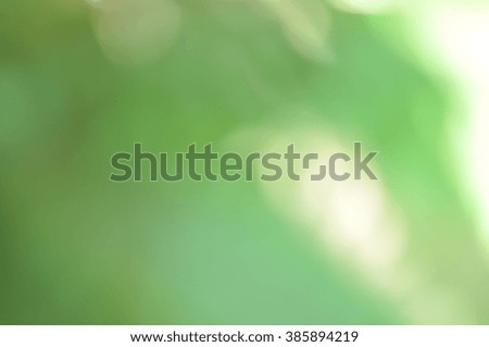 Natural green background out of focus