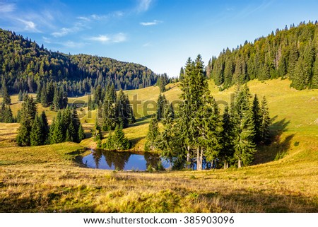 mountain summer landscape. pine trees on hillside meadow with wild flowers  near small lake  in mountains in morning light