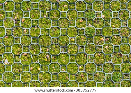 Green grass with plastic block pattern,  background