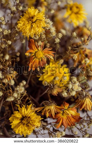 Yellow flowers in a vase