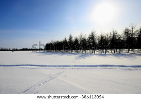 Sapporo moerenuma Park of the snow scene