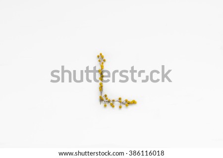 The letter "L" made of acacia flowers