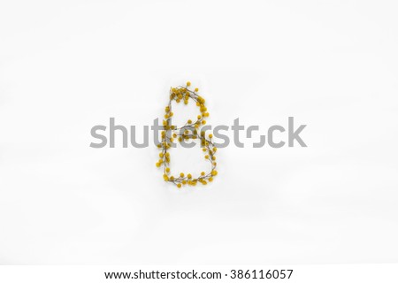The letter "B" made of acacia flowers