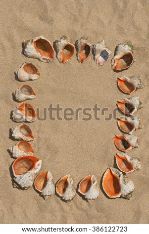 Frame maked of sea shells on sand.