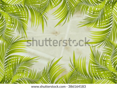 old paper background with palm leaf