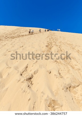 View from the highest dune in Europe - Dune of Pyla (Pilat), Arcachon Bay, Aquitaine, France