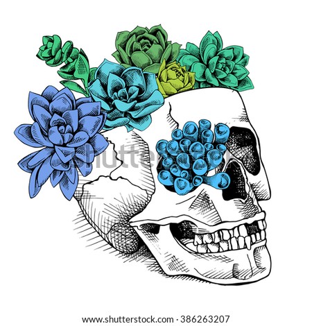 Skull with a bright color succulent plants. Vector illustration.