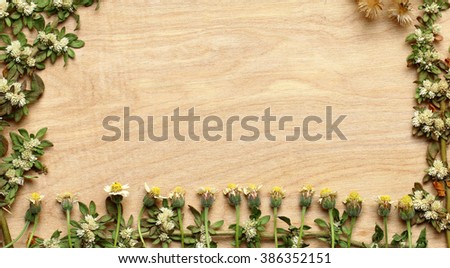 grass flower on wood. Nature background with copy space