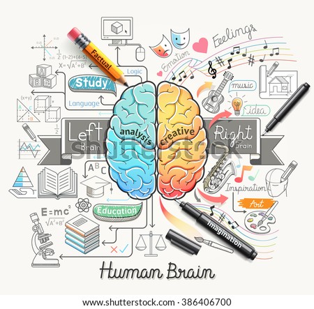 Human brain diagram doodles icons style. Vector illustration.