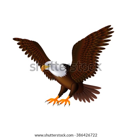 Flying eagle isolated on white photo-realistic vector illustration
