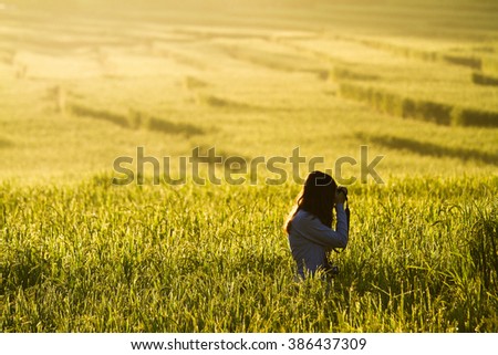Photographers rice paddy fields at dawn.