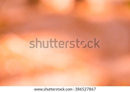 orange bokeh background from nature under tree shade