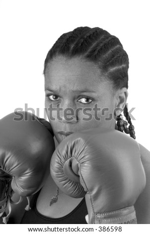 Boxer on white background
