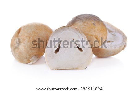mushrooms on isolated on white