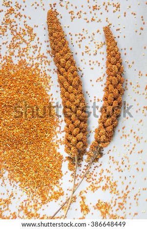 Red millet on silver-gray background. Top view